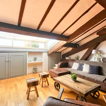 Le Boise Merveilleux Duplex Rustique, Excellent Emplacement A Quelques Pas Du Palais קאן